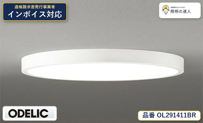 楽天市場】ol 291 411brの通販