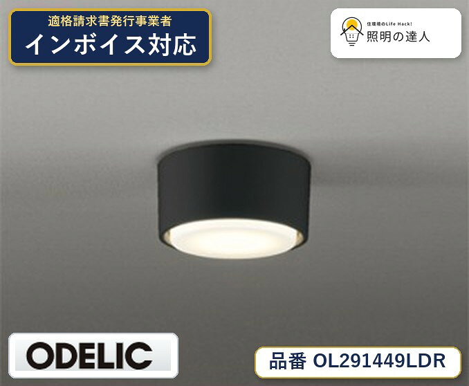 【大特価】　　 オーデリック ODELIC 小型シーリングライト OL291449LDR