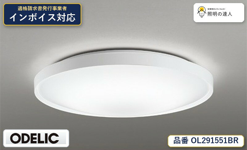 【照明器具の在庫・納期について】 現在、照明器具は一部メーカー・品番で在庫不足や納期遅延が発生しやすくなっています。 これまでのように「発注したらすぐ納品」が難しいケースも増えています。 蛍光灯2027年問題により、LED化需要も高まっています。 工事予定がある場合や数量が必要な場合は、早めの在庫確認・先発注をおすすめします。 欠品時は、同等品・代替品のご提案も可能です。