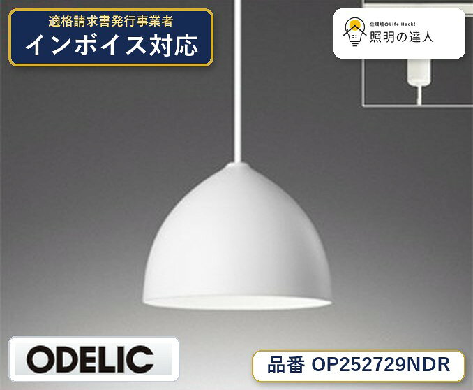 【照明器具の在庫・納期について】 現在、照明器具は一部メーカー・品番で在庫不足や納期遅延が発生しやすくなっています。 これまでのように「発注したらすぐ納品」が難しいケースも増えています。 蛍光灯2027年問題により、LED化需要も高まっています。 工事予定がある場合や数量が必要な場合は、早めの在庫確認・先発注をおすすめします。 欠品時は、同等品・代替品のご提案も可能です。