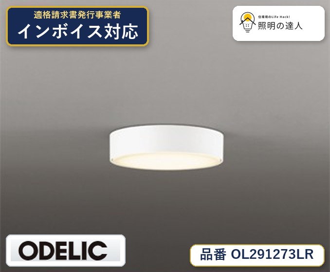 楽天市場】ol291273lrの通販