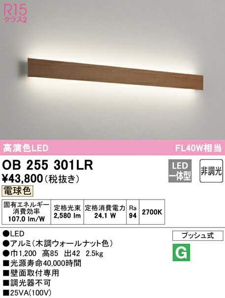 【大特価】　　 オーデリック ODELIC ブランケットライト OB255301LR