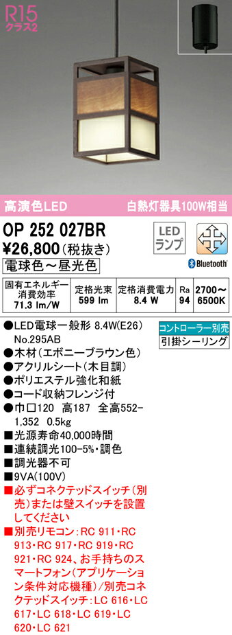 Vaulted Ceiling - 5/9〜5/16 お買い物マラソン 最大49倍　【大特価】　　 オーデリック ODELIC ペンダントライト OP252027BR