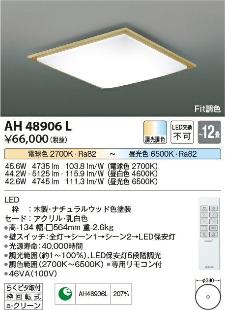 【数量限定セール!!】コイズミ シーリング AH48906L