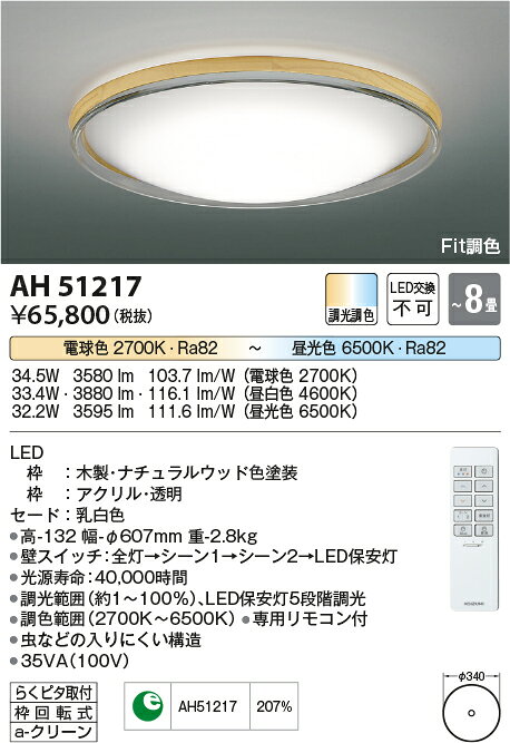 【数量限定セール!!】コイズミ シーリング AH51217