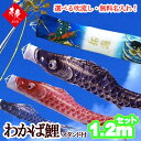 こいのぼり ベランダ セット 鯉のぼり スタンド付 ベランダ用 わかば 1.2mセット おしゃれ 名入れ 家紋 2名の名入れ可能 屋外用 五月 寿慶オリジナル