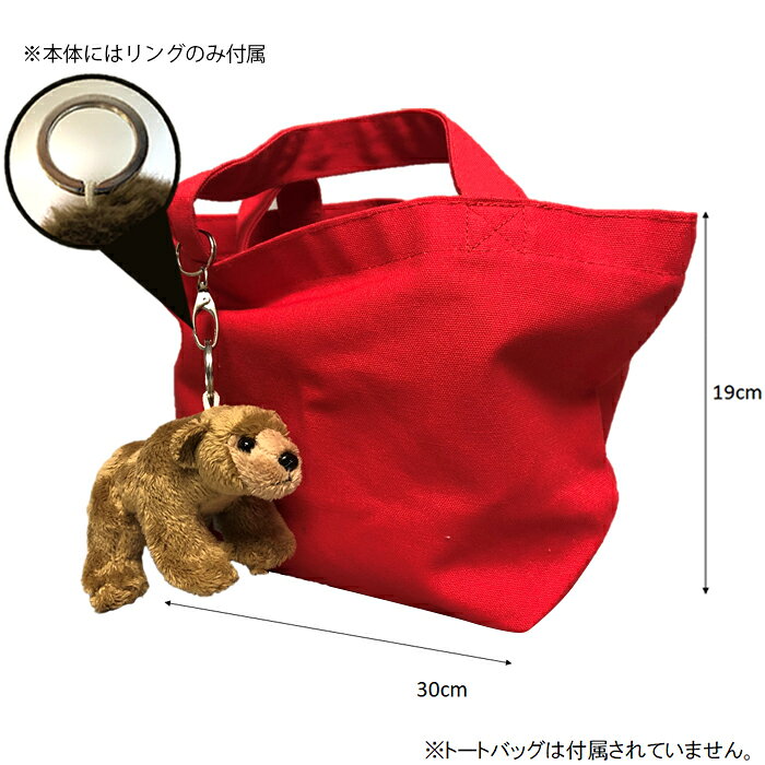 【500円OFFクーポン配布中】 NATIONAL GEOGRAPHIC ナショナルジオグラフィック キーリング ハイイログマ 13cm 770797B おしゃれ 2