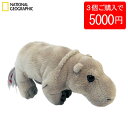 【5日限定P最大10倍!2000円クーポン】 【3個で5000円】【770702b】 NATIONAL GEOGRAPHIC ナショナルジオグラフィック ぬいぐ...