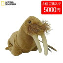 【5日限定P最大10倍!2000円クーポン】 【3個で5000円】【770703e】 NATIONAL GEOGRAPHIC ナショナルジオグラフィック ぬいぐ...