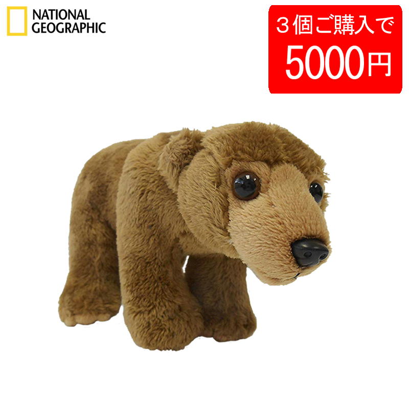 【3個で5000円】【770705f】 NATIONAL GEOGRAPHIC ナショナルジオグラフィック ぬいぐるみ ハイイログマの赤ちゃん 770705F くま ベア おしゃれ