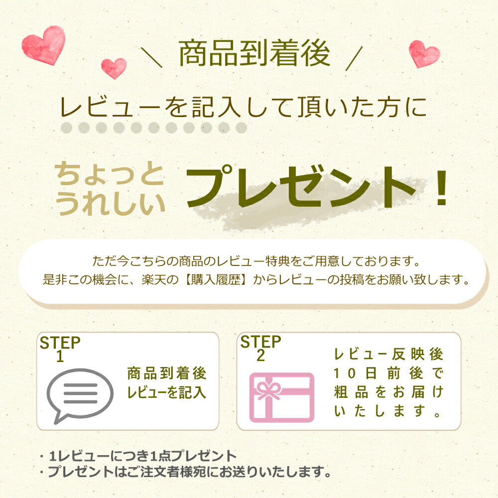 雛人形 ケース飾り アクリルケース かわいい コンパクト 寿慶 ことほき アクリル ケース付き 木目込み 選べる 親王飾り 平飾り