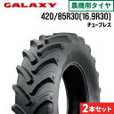 【5%OFFクーポン】トラクタータイヤ 420/85R30 16.9R30 チューブレス 2本 EARTH-PRO R-1W GALAXY ギャラクシー