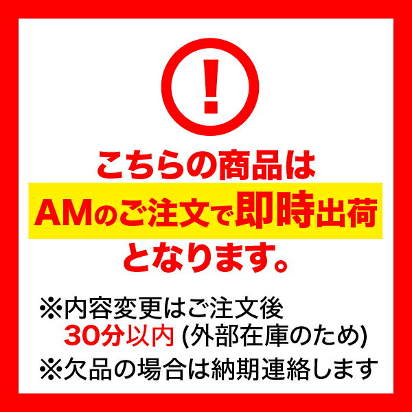 SCC JAPAN SS610|1ペア(タイヤ2本分)|大型トラック・バス用 ケーブルチェーン タイヤチェーン 合金鋼 3