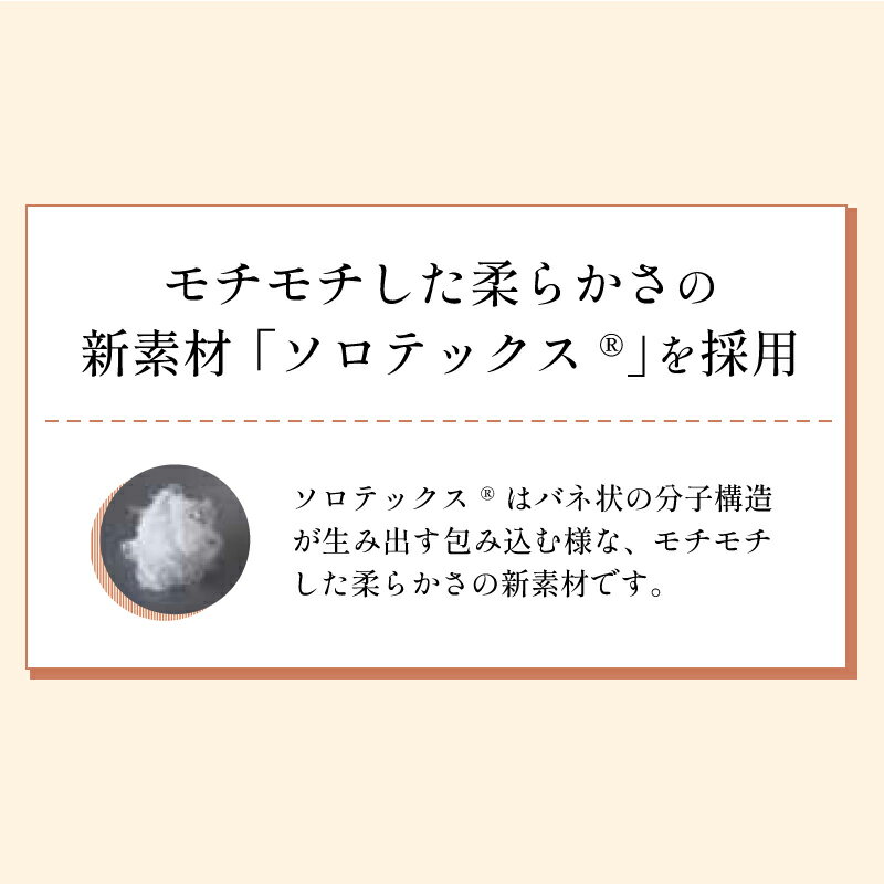 フランスベッド ニューショルダーフィットピロー ソロテックス ロータイプ 枕 NSFピロー 制菌 日本製 水洗い可能 ウォッシャブル 3