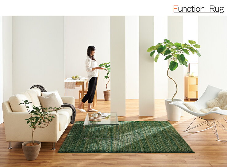 スミノエ　多機能ラグ　LUSTRE リュストル 140cm×200cm　防ダニ・防音・防炎・低ホルムアルデヒド・ホットカーペット及び床暖対応・メディカルサイレンス・遊び毛防止・フィーラ・日本製・タフテッド jukusui-10009743 熟睡工房 サンプル画像2