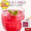 魅惑の酵素粉末 (100g) 酵素 プラセンタ イヌリン 食物繊維 コラーゲン 美容 馬プラセンタ 黒酢 もろみ ざくろ ザクロ 乳酸菌 粉末 パウダー 米黒酢もろみ 天然甘味料 ステビア 送料無料