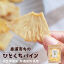 ドライ パイナップル (120g) ドライ パイン 砂糖不使用 有機原料使用 ドライパイナップル ドライフルーツ 一口サイズ お菓子 ギルトフリー みつぎ工作 送料無料