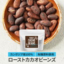 ハイカカオ ハイカカオチョコレート カカオビーンズ ポリフェノール カカオ カカオポリフェノール お菓子作り カカオニブ オーガニック カカオ豆 カンボジア モンドルキリ州 農薬不使用 化学肥料不使用 人気 話題 100％ 100g 送料無料