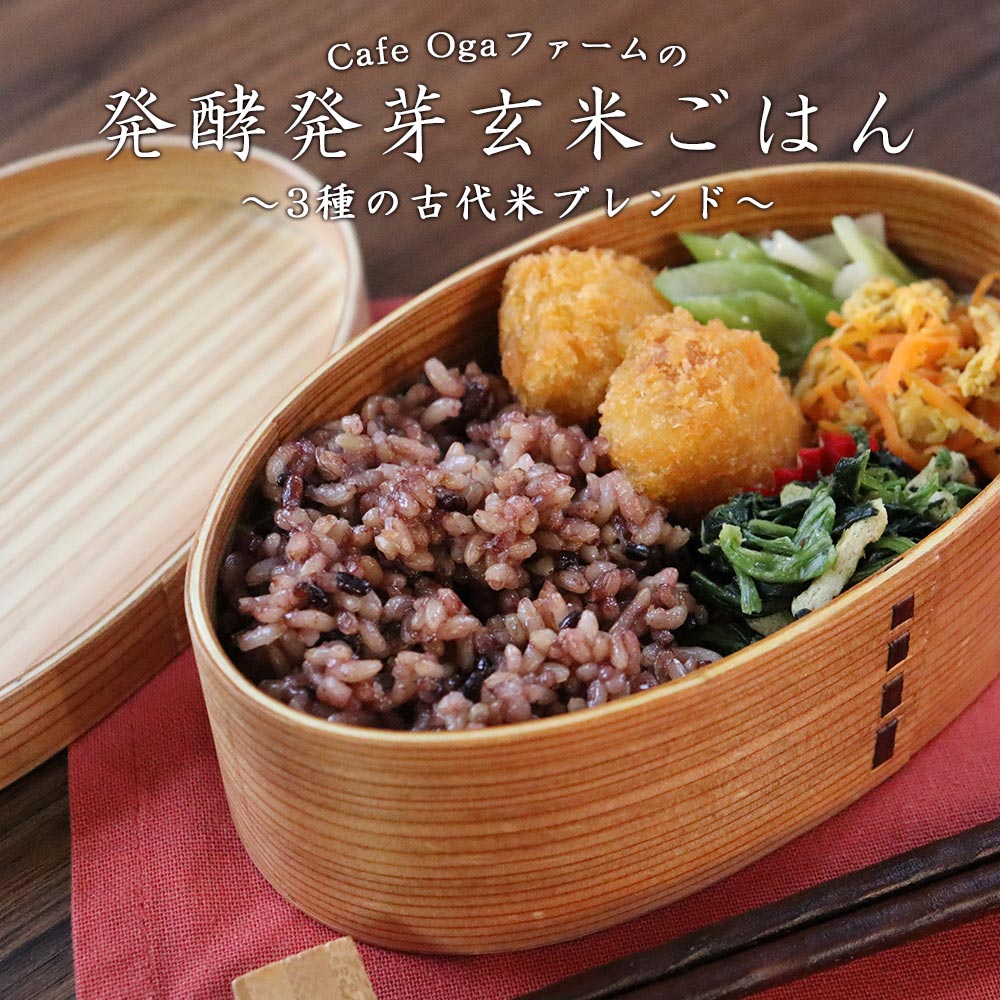 発酵 発芽玄米 (160g×5食パック) パックご飯 玄米 発芽玄米 黒米 赤米 緑米 乳酸菌 ブレンド米 美容 健康 アントシアニン ポリフェノール タンニン...