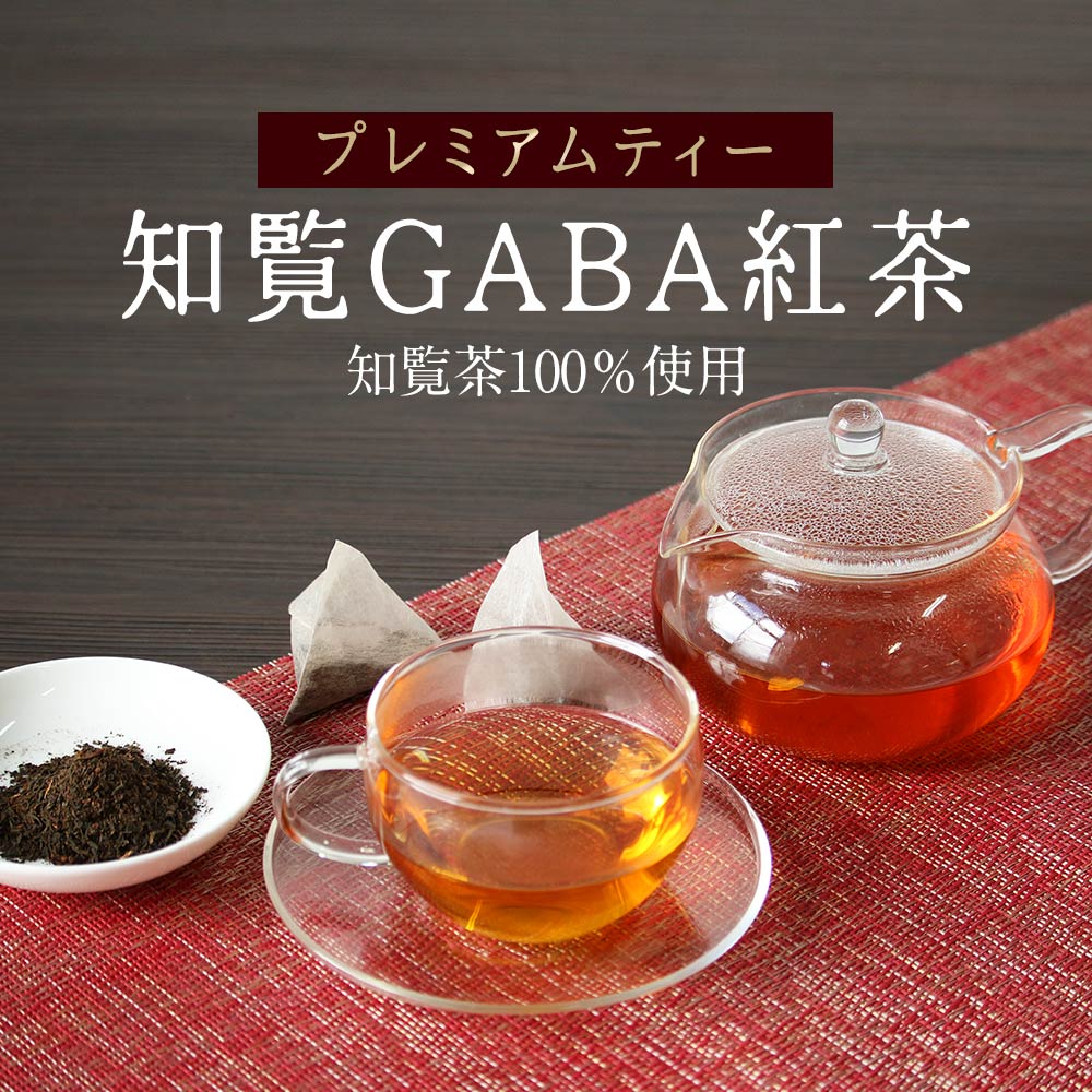 【1000円ポッキリ】 知覧 GABA 紅茶 (3g×25包) 国産 ギャバ茶 GABA茶 ギャバ お茶 茶 知覧茶 鹿児島県産 健康茶 紅茶 ティーバッグ リラックス テアニン 安眠 ダイエット 飲みやすい お茶 みつぎ工作 送料無料