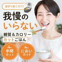 こんにゃく 米 こんにゃく米 乾燥 蒟蒻 ライス ご飯 ダイエット 置き換え 糖質制限 低糖質 糖質オフ 低カロリー カロリーオフ 食事 ヘルシー 冷凍可 食物繊維 マンナン 大容量 500g 送料無料