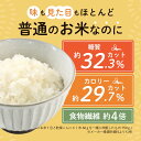 こんにゃく 米 こんにゃく米 乾燥 蒟蒻 ライス ご飯 ダイエット 置き換え 糖質制限 低糖質 糖質オフ 低カロリー カロリーオフ 食事 ヘルシー 冷凍可 食物繊維 マンナン 大容量 500g 送料無料