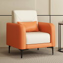 ソファ ソファー sofa 1人掛 柔らかい 会議室 接待室 シングルソファ 快適 デザイン感 北欧風 安定感 インテリア リビング 韓国風 おしゃれ オシャレ 芸術感 一人暮らし 簡約 現代風 高級感 贅沢感 新生活 引っ越し zh-al82