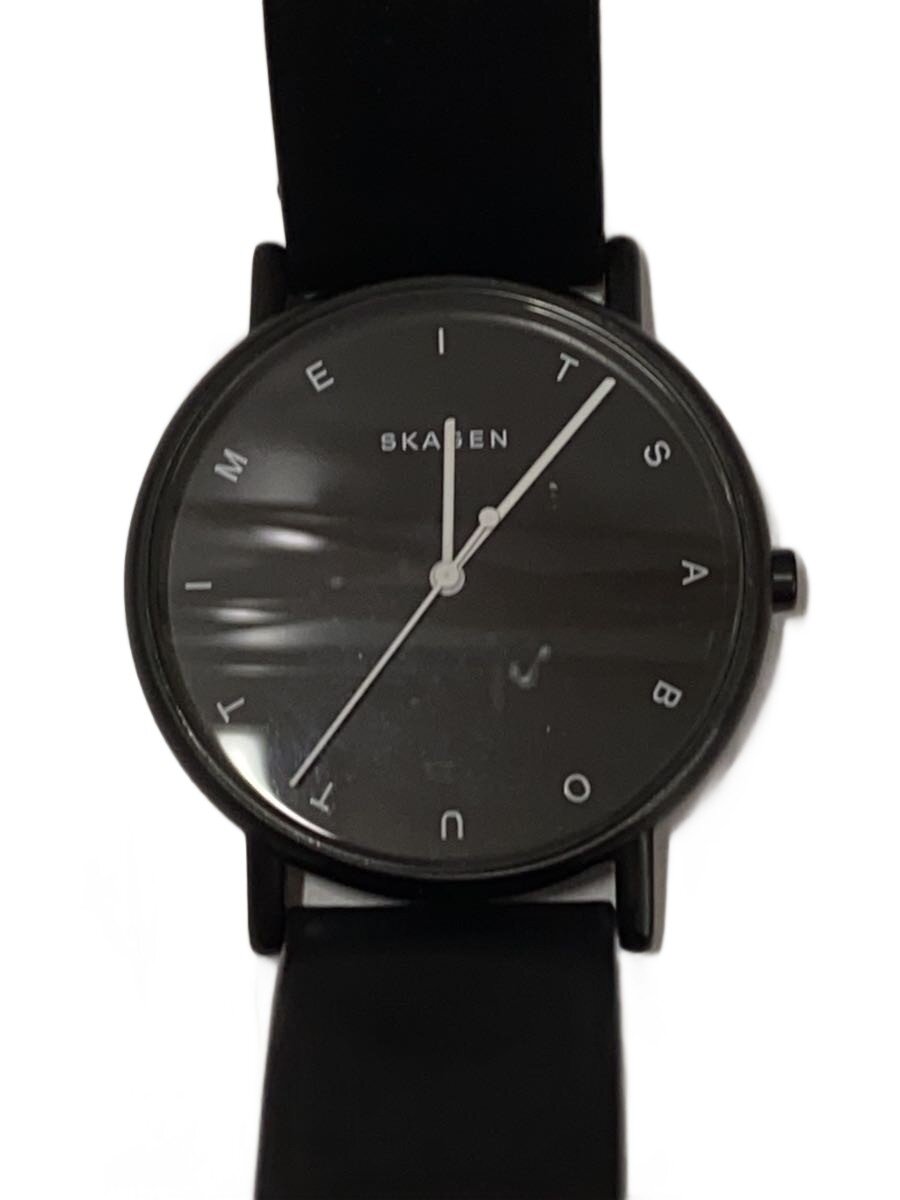 【中古】SKAGEN◆×PLAYTYPE/365本限定/クォーツ腕時計/アナログ/レザー/BLK/BLK/SKW6413【服飾雑貨他】