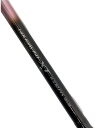 【中古】SHIMANO◆ロッド/holiday iso XT【スポーツ】(4)