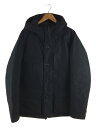 【中古】Woolrich◆GTX mountain Parka/ダウンジャケット/L/ポリエステル/NVY/1702005【メンズウェア】