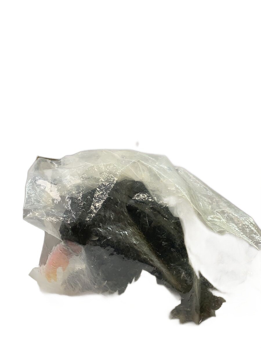 【中古】CCP◆amcシリーズ vol.23 500限定 ガメラIII//【ホビー】