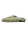 【中古】フラットパンプス/--/BEG【シューズ】(4)