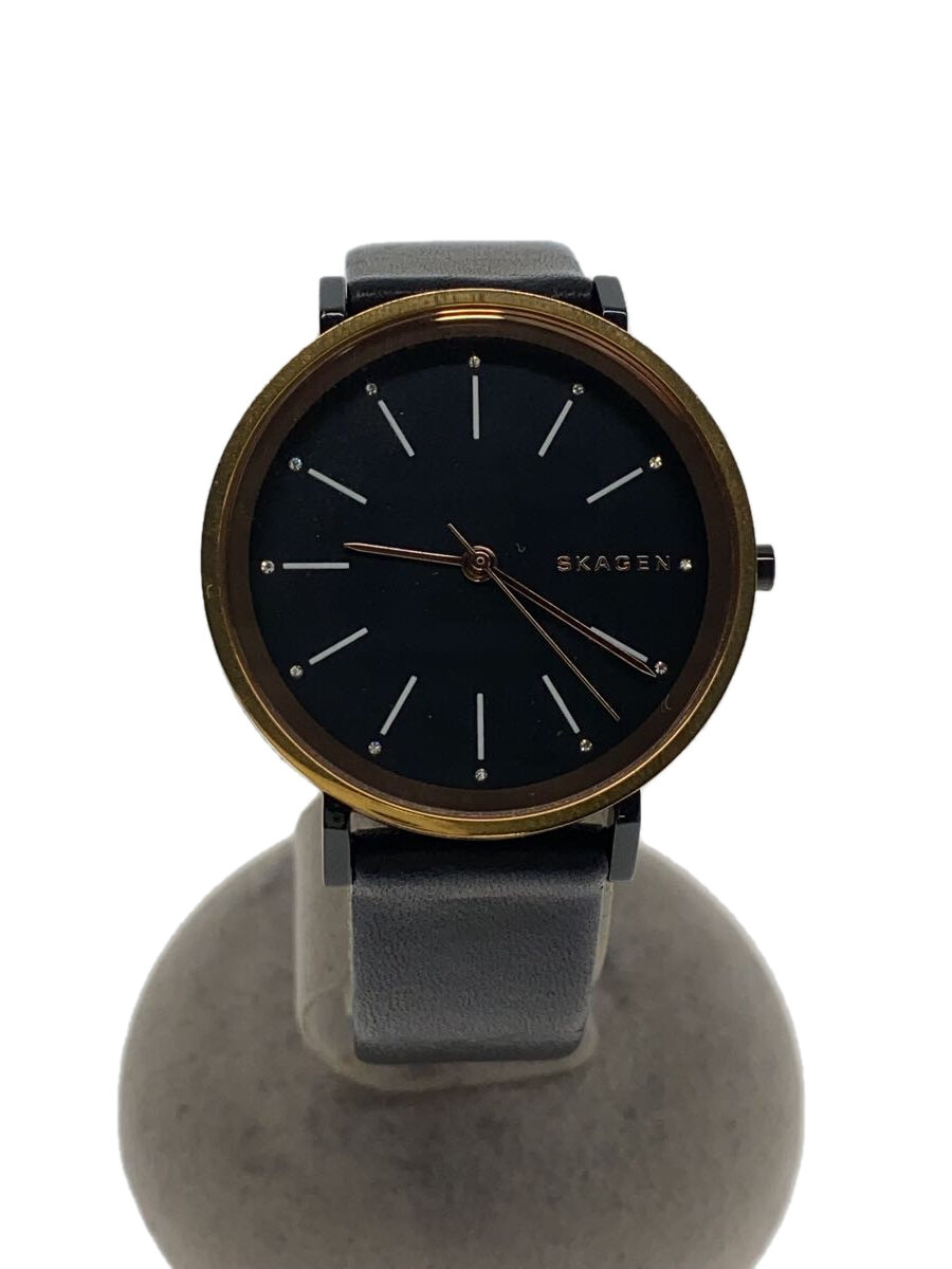 【中古】SKAGEN◆クォーツ腕時計/アナログ/skw2490【服飾雑貨他】