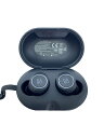【中古】Bang&Olufsen◆ワイヤレスイヤホン/BLK【家電・ビジュアル・オーディオ】(2)