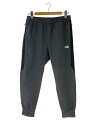 【中古】THE NORTH FACE◆APEX FLEX PANT_エイペックスフレックスパンツ/XL/ナイロン/GRY【メンズウェア】