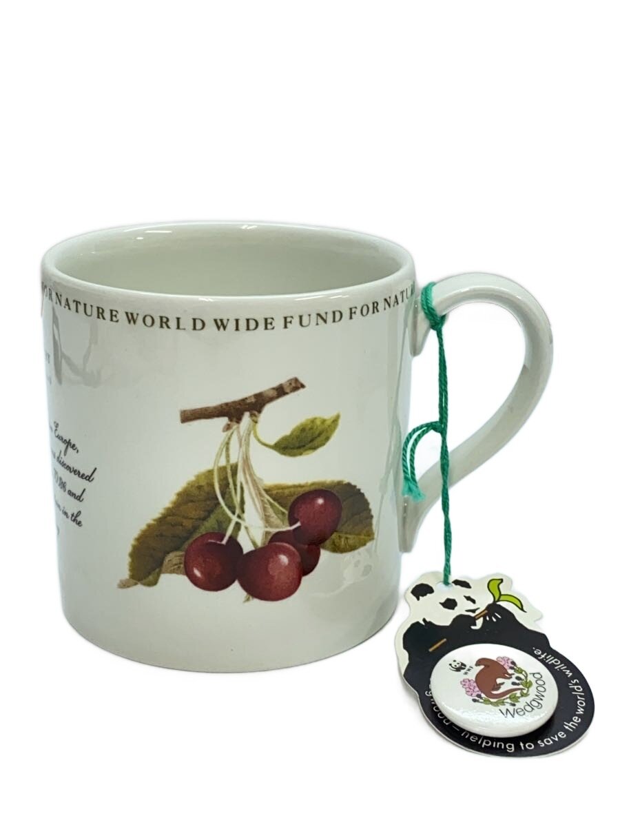 【中古】WEDGWOOD◆×WWF/マグカップ【キッチン用品】
