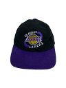 yÁzSTARTER90s/LAKERS/Lbv/FREE/Rbg/BLK/Y/NBA-901LAyGݑz