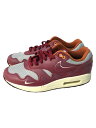 yÁzNIKEAIR MAX 1 / P_GA}bNX  p^/27cm/BRDyV[Yz