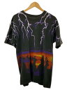 【中古】FRUIT OF THE LOOM◆90s/USA製/Riders on the Storm T-shirt/色褪せ 毛羽立ち有/L/【メンズウェア】