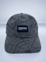 yÁzNEIGHBORHOOD23SS/SPIDERWEB DAD CAP/Lbv/FREE/Rbg/GRY/YyGݑz