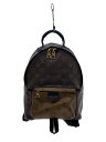 【中古】LOUIS VUITTON◆2)パームスプリングス・バックパックPM_モノグラム・リバース_BRW/PVC/BRW/モノグラム【バッグ】