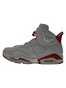 NIKE◆AIR JORDAN 6_エア ジョーダン 6/28cm/WHT