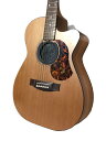   Maton GuitarsGAR i`Eؖ 6 P3drx2 SRS808C y 