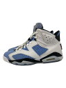 NIKE◆AIR JORDAN 6 RETRO_エアジョーダン 6 レトロ/29cm/BLU/レザー//