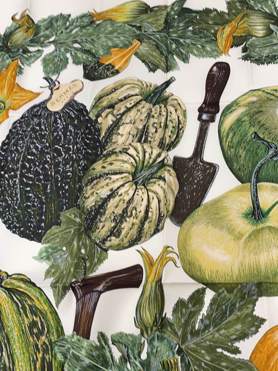 šHERMESCITROUILLES  COLOQUINTES//륯/GRN//ǥ/90¾
