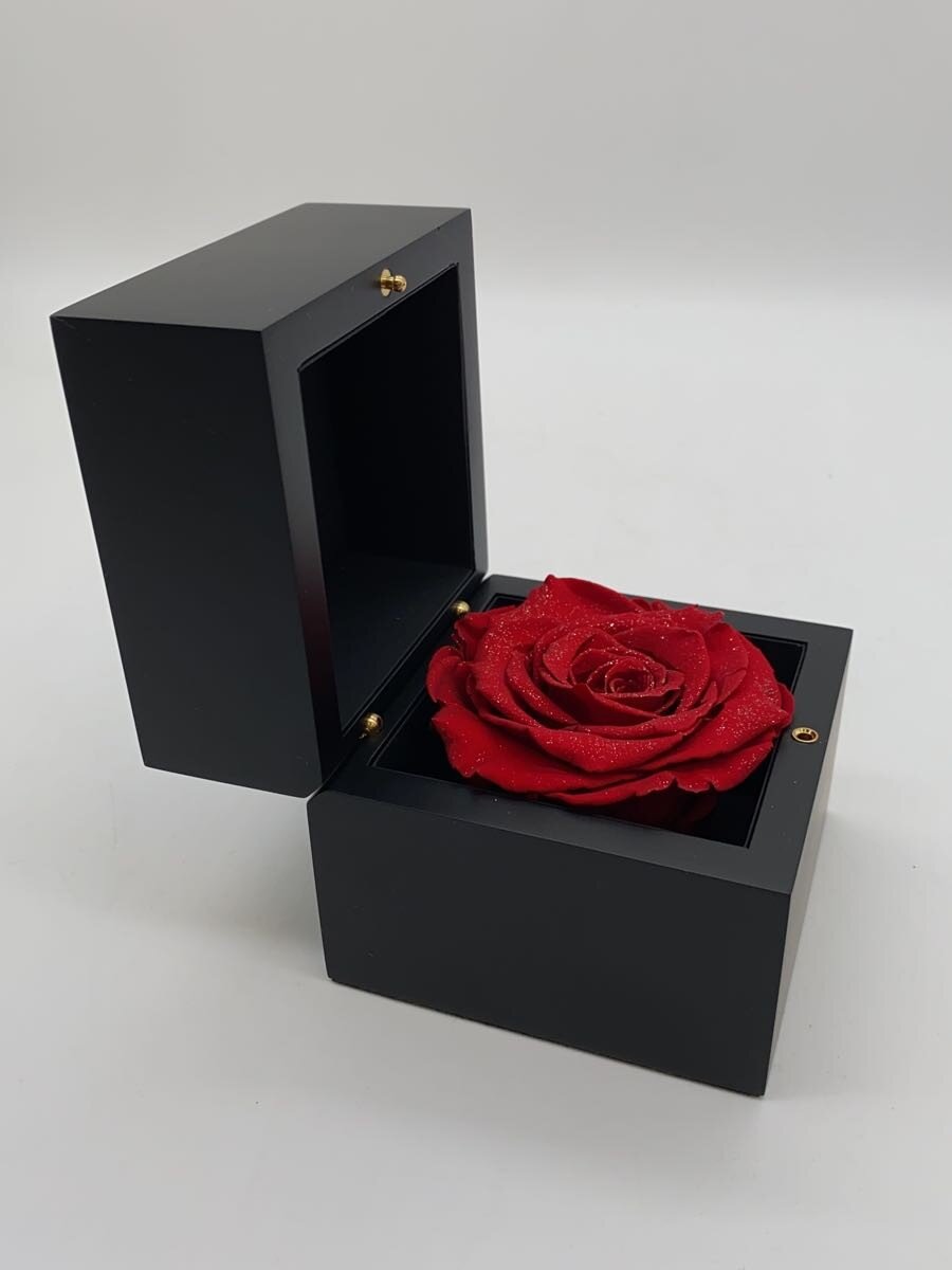 【中古】ROSE GALLERY/ダイヤモンドローズM/インテリア雑貨/BLK【インテリア小物・日用雑貨】 [2]