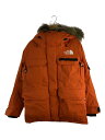 yÁzTHE NORTH FACESOUTHERN CROSS PARKA/TUNX/_EWPbg/L/iC/IW/ND92120yYEFAz