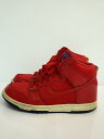 yÁzNIKEDUNK HIGH/_NnC/bh/317982-609/25cm/bh/iCLyV[Yz