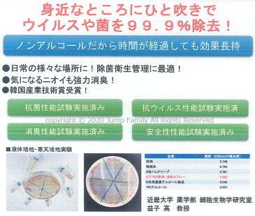 在庫あり・お一人様3個まで 【メール便（レターパックプラス）3点まで可】 除菌 消臭 スプレー ノンアルコール 除菌衛生管理 強力消臭 抗ウイルス 細菌 マスクスプレー 除菌スプレー 消臭スプレー 携帯用 お出かけ 無香料 携帯 持ち運び 333226