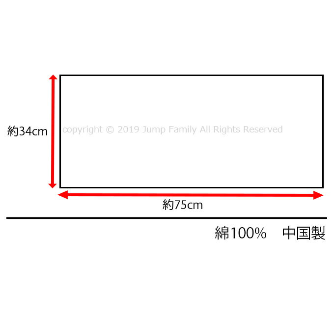 【追跡可能メール便1点まで可】 フェイスタオル 2枚組 ポッチャマ 2022年版 ポケットモンスター ポケモン 通園 通学 子供 キッズ 女の子 女児 男の子 男児 キャラクター お風呂 プール レジャー スイミング 運動 大人 ジム 部活 学生 綿100％ 038283